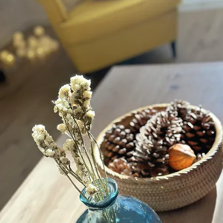 公寓 Harz 'storchennest' Mit Seeblick - Bubo Am