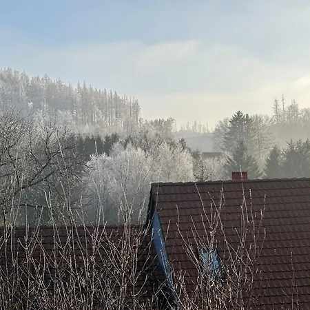 Lejlighed Harz 'storchennest' Mit Seeblick - Bubo Am Clausthal-Zellerfeld