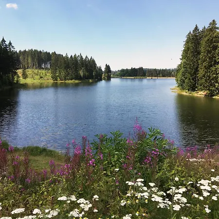 Lejlighed Harz 'storchennest' Mit Seeblick - Bubo Am Clausthal-Zellerfeld